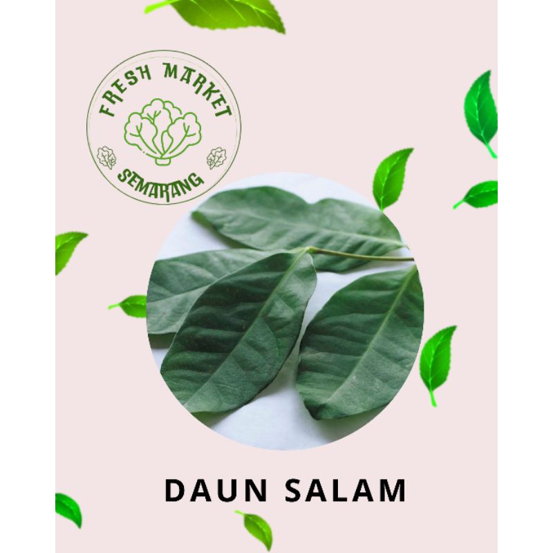 

[INSTAN] DAUN SALAM UNTUK AROMATIK MASAKAN SEMARANG