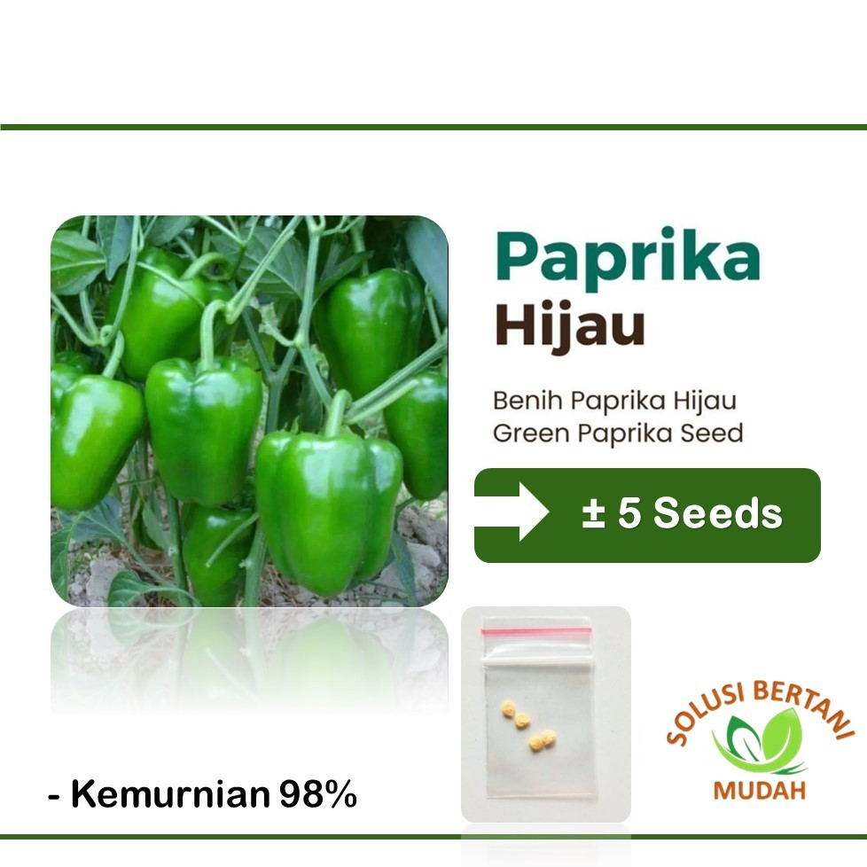 Benih Bibit Sayuran Paprika Hijau F1 Hibrida Unggul