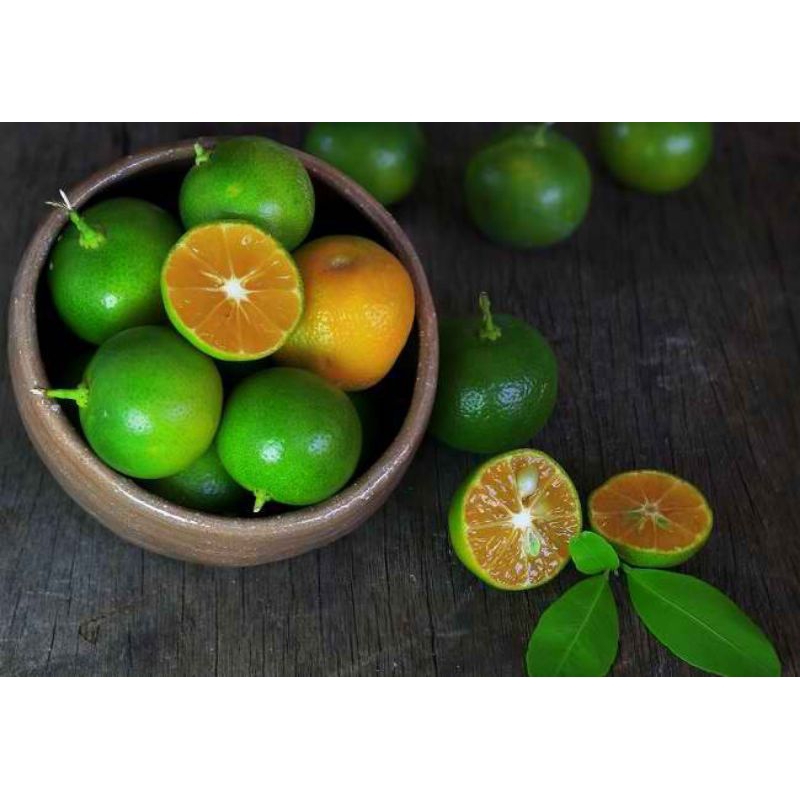 

1KG Jeruk Sonkit/Jeruk kasturi/Jeruk peras/Jeruk kunci/Lemon cui ukuran sedang