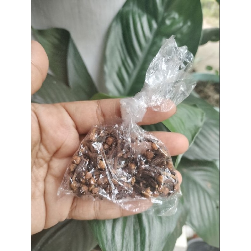 

REMPAH PER PCS HARGA MURAH
