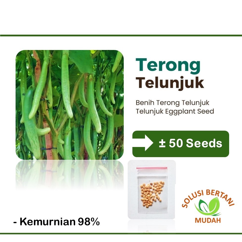 Benih Sayuran Terong Telunjuk Lurik Unggul