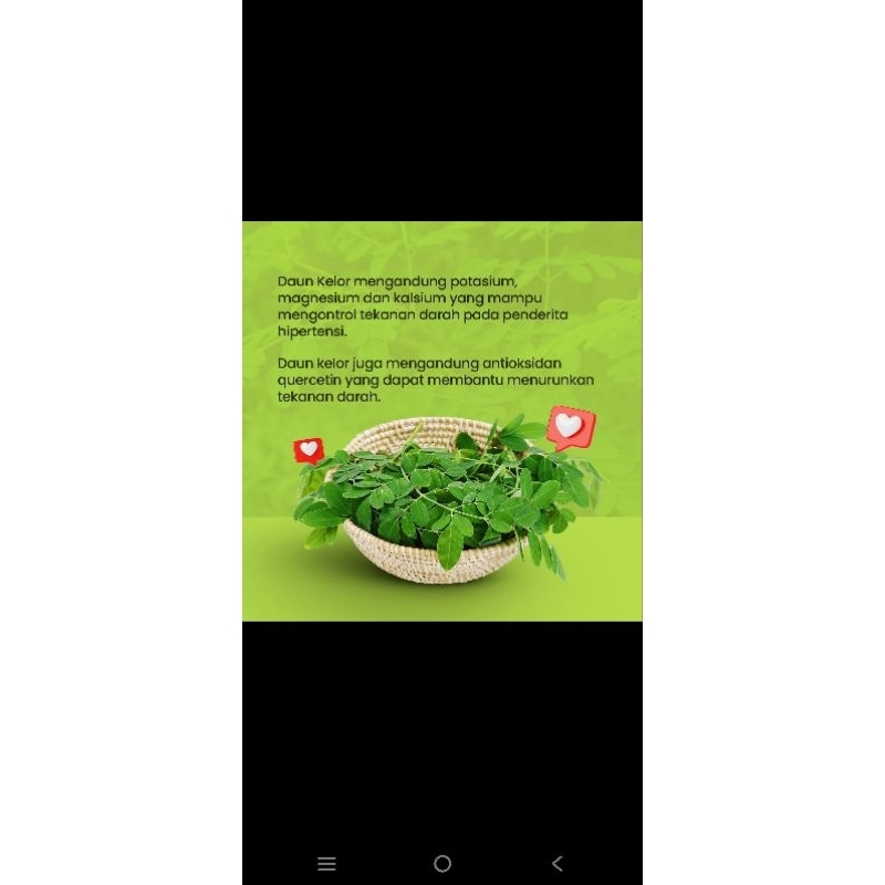 

CMP Minuman Serbuk