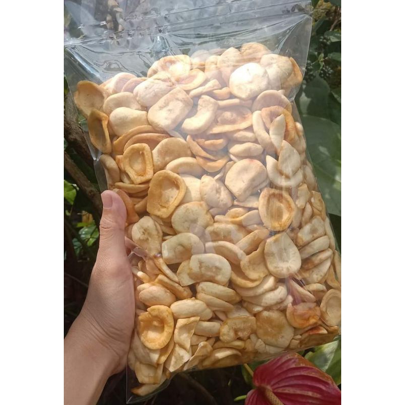 

KRIPIK SALAK-KRIPIK BUAH TERMURAH