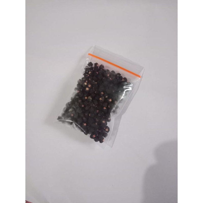 

BUAH ANGKUNG KERING OBAT ISI 10 GRAM/KURANG LEBIH 300 BIJI