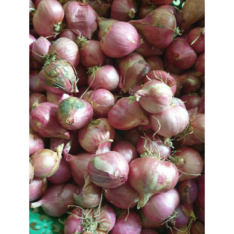 

Brambang/bawang merah kecil kering