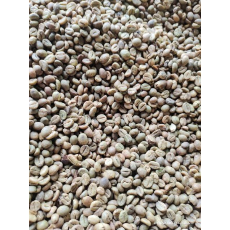 biji kopi mentah robusta Bogor (1kg)