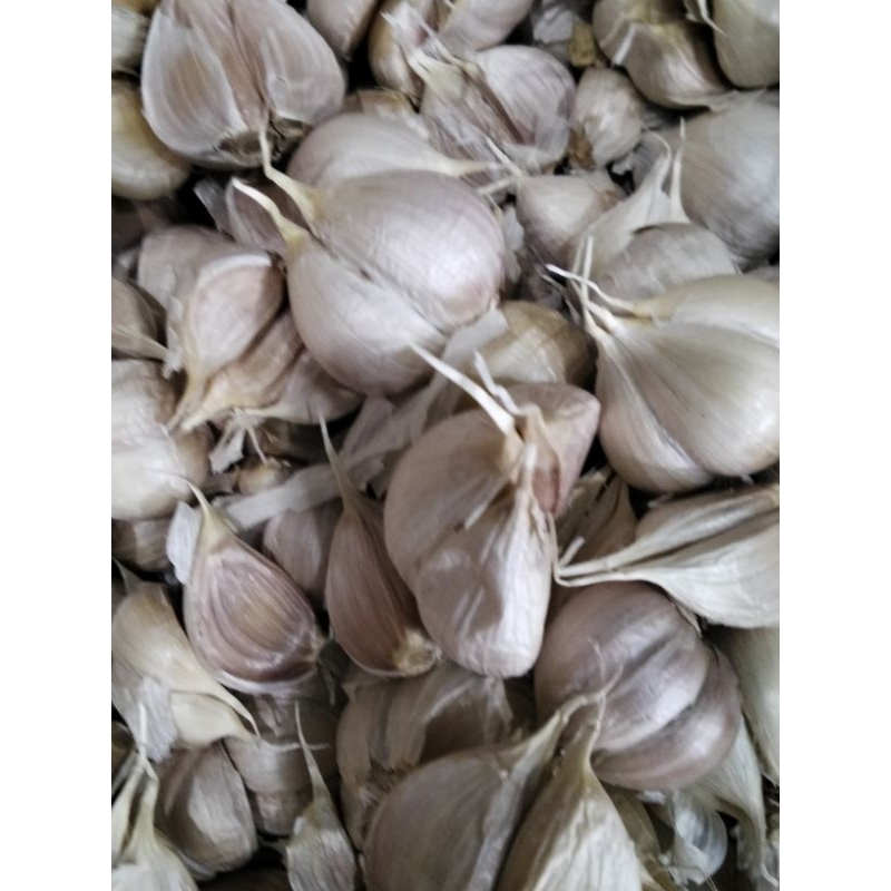 

Bawang Putih Kating 1 KG