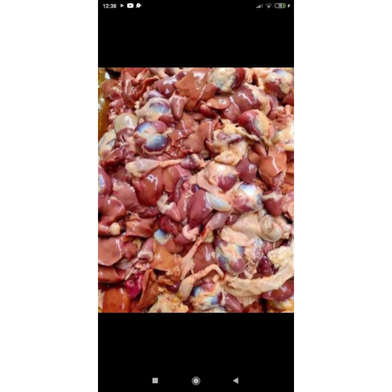 

Hati ampela mentah fresh