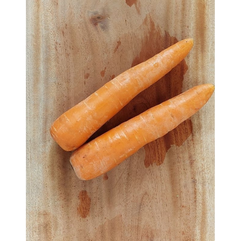 

wortel berastagi kualitas premium