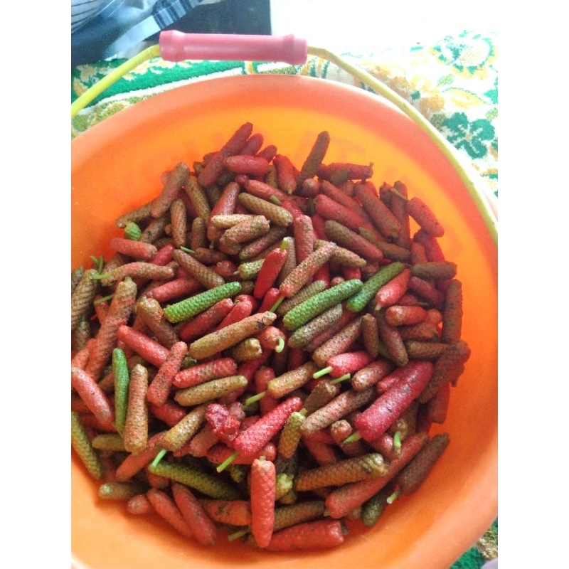 

cabe_jamu_asli_madura_tidak_kering_mix_merah_hijau