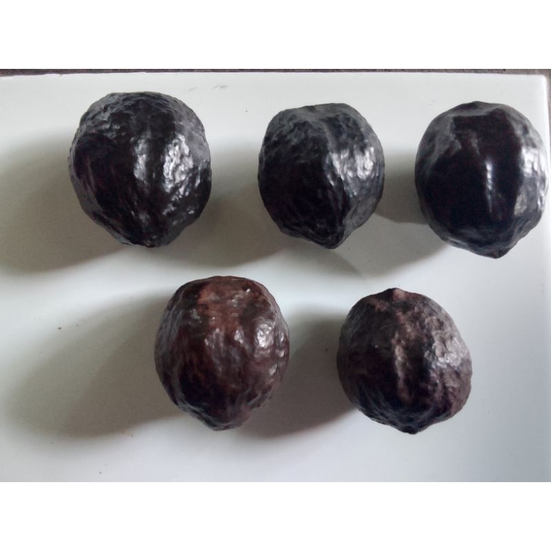 Muncang adu jawara jayanti super IRT Sibabu. penghancur muncang adu artisan