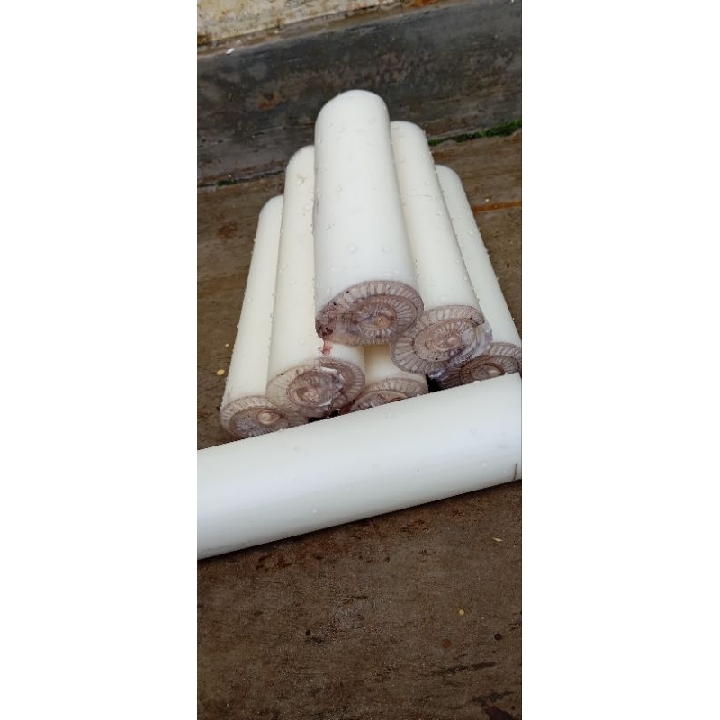 

1kg Gedebog | Batang pisang Muda | Gedebong pisang