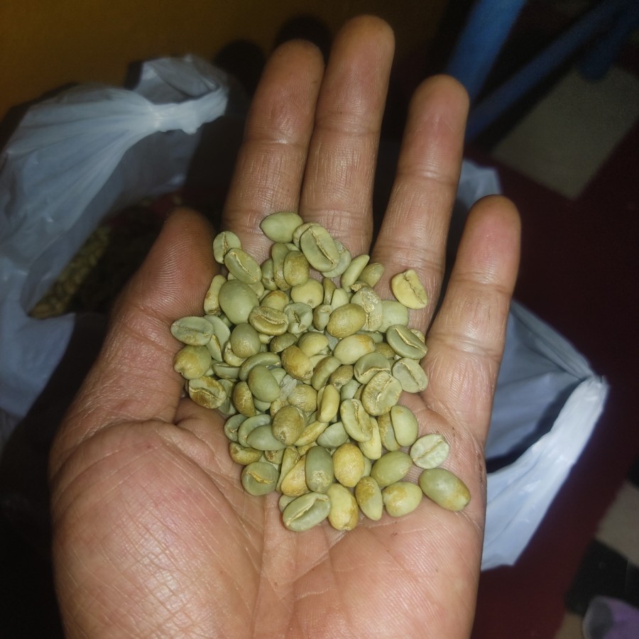 

Green Beans Arabika Ready