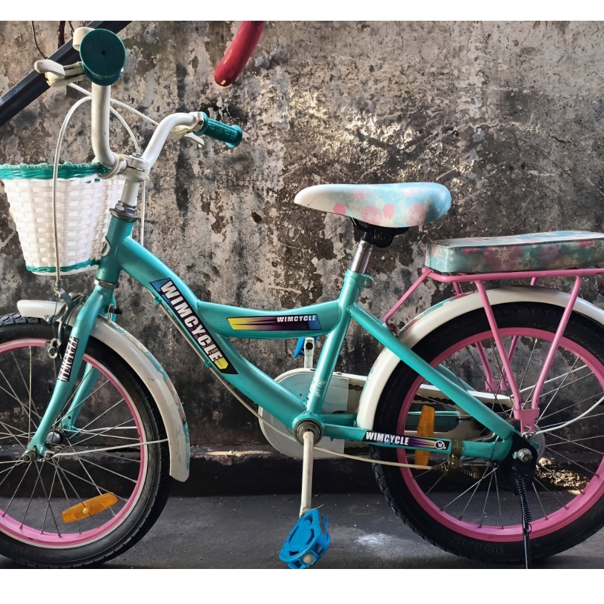 Sepeda Anak Wimcycle Frozen Ukuran 18 Inch