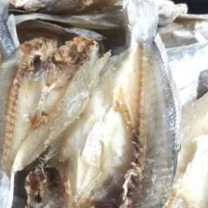 

ikan asin gulama