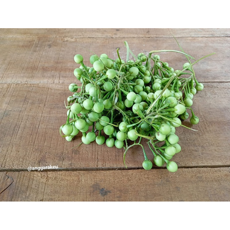 

New Promo Takokak/Cekokak Segar hasil dari alam