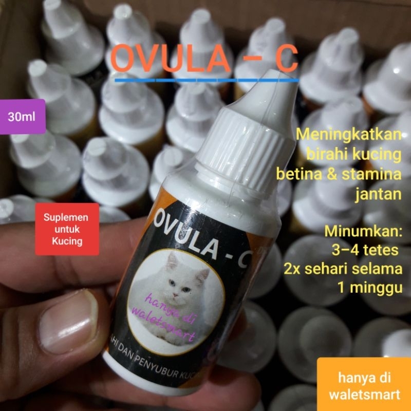 Ovula - C 30ml Suplemen penambah stamina birahi Kucing Jantan & penyubur kandungan betina