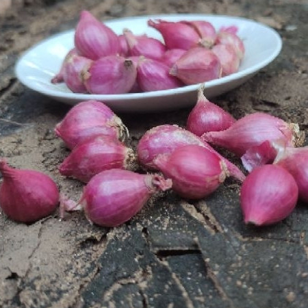 

[BISA COD] BAWANG MERAH 1 KG PROBOLINGGO UKURAN KECIL BRKAH