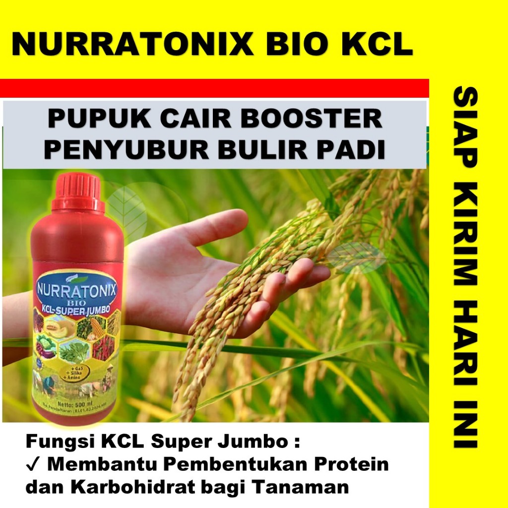 NURRATONIX BIO KCL SUPER JUMBO pupuk tanaman padi terbaik - pupuk cair untuk tanaman padi - pupuk un