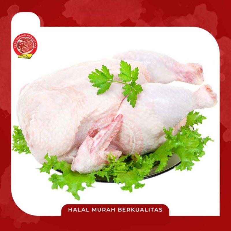 

AYAM BOILER FRESSH UK 1.2 KG