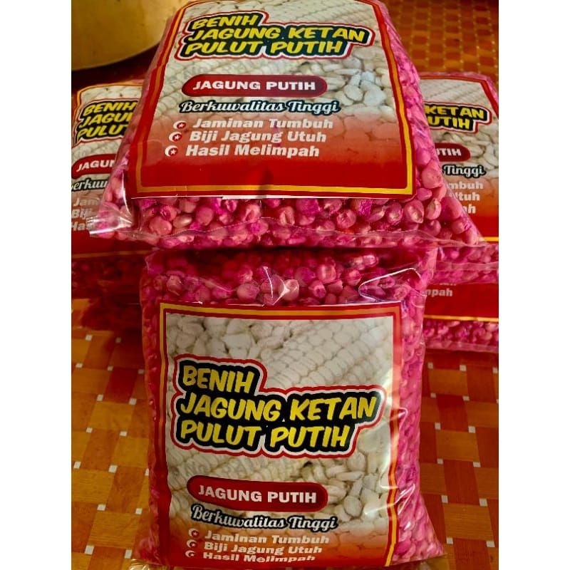 

BENIH JAGUNG KETAN PULUT PUTIH SUPER SIAP TANAM 1KG