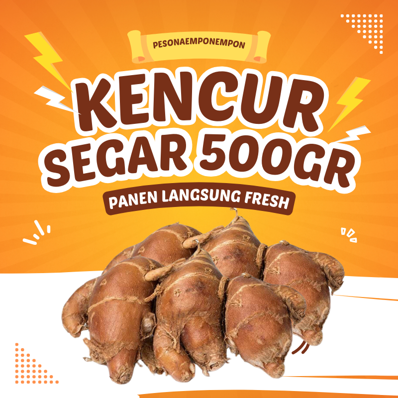 

Kencur Segar Kencur/Cikur 500 Gram Panen Fresh Wangi Pedas Enak Cocok Buat Bumbu Makanan dan Obat Herbal Sudah Sortir