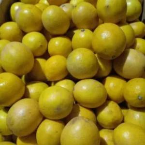 

lemon California 1000g