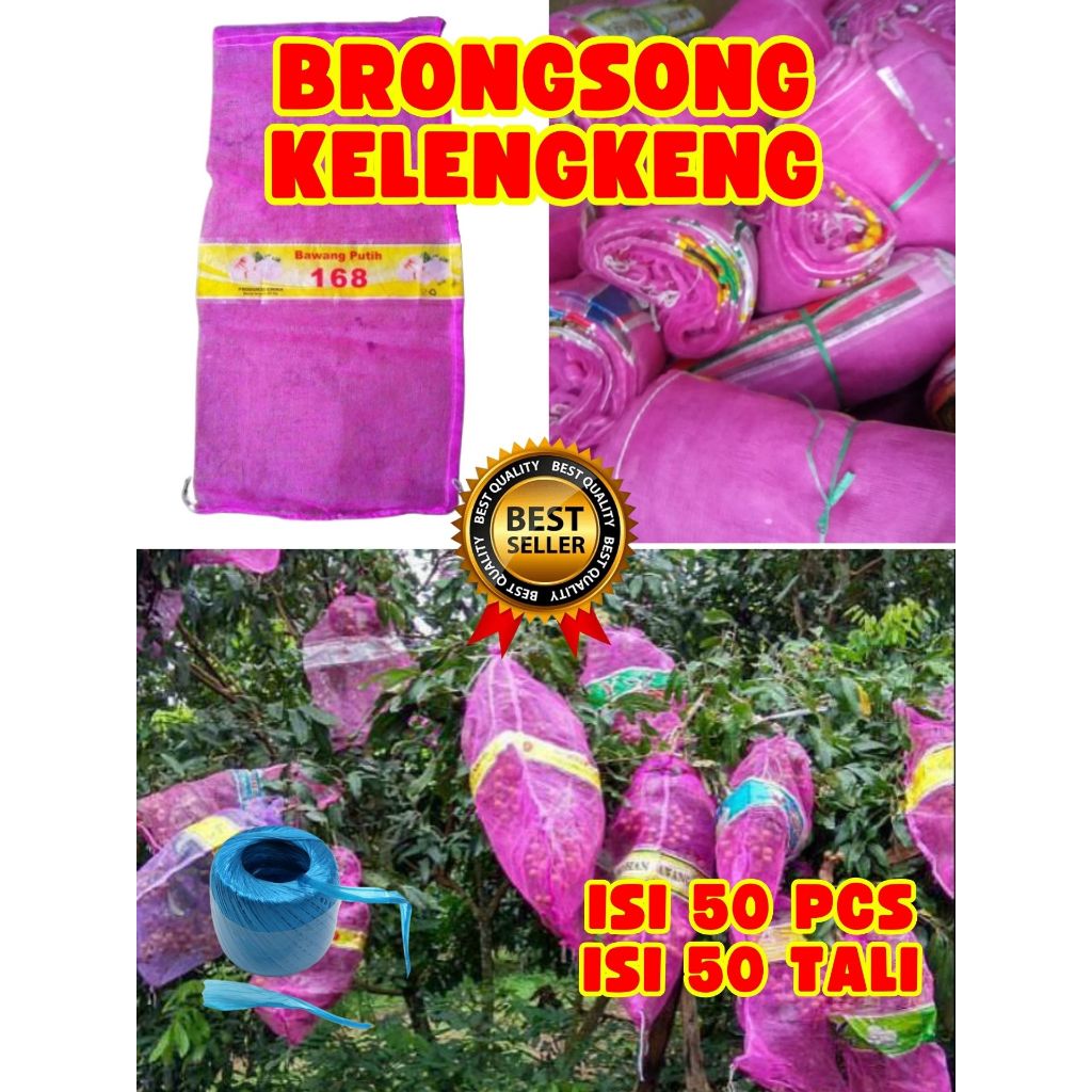 LEBIH HEMAT  Brongsong Kelengkeng Cangkok, Brongsong Kelengkeng Cangkok Batang Besar Berbuah isi 50 