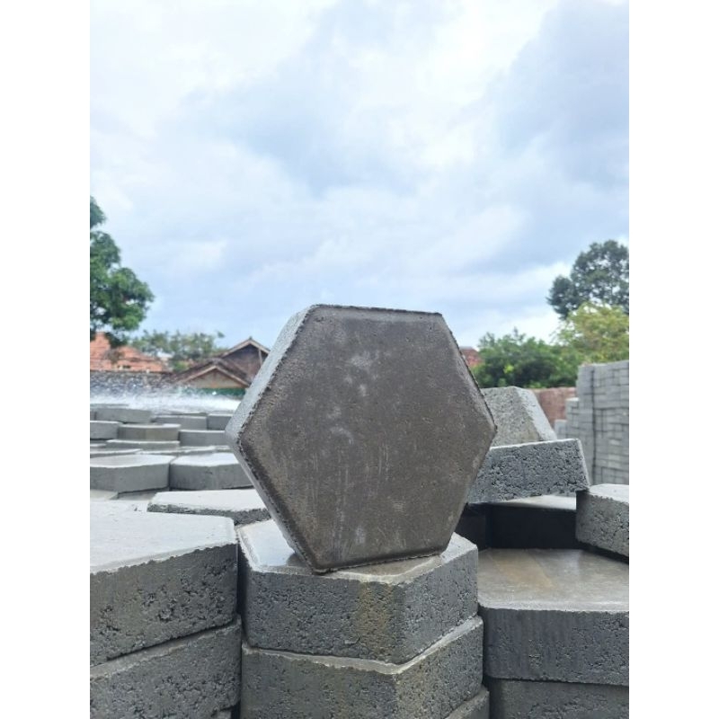 Paving Block Hexagon Abu dan Merah | 6 Cm & 8 Cm