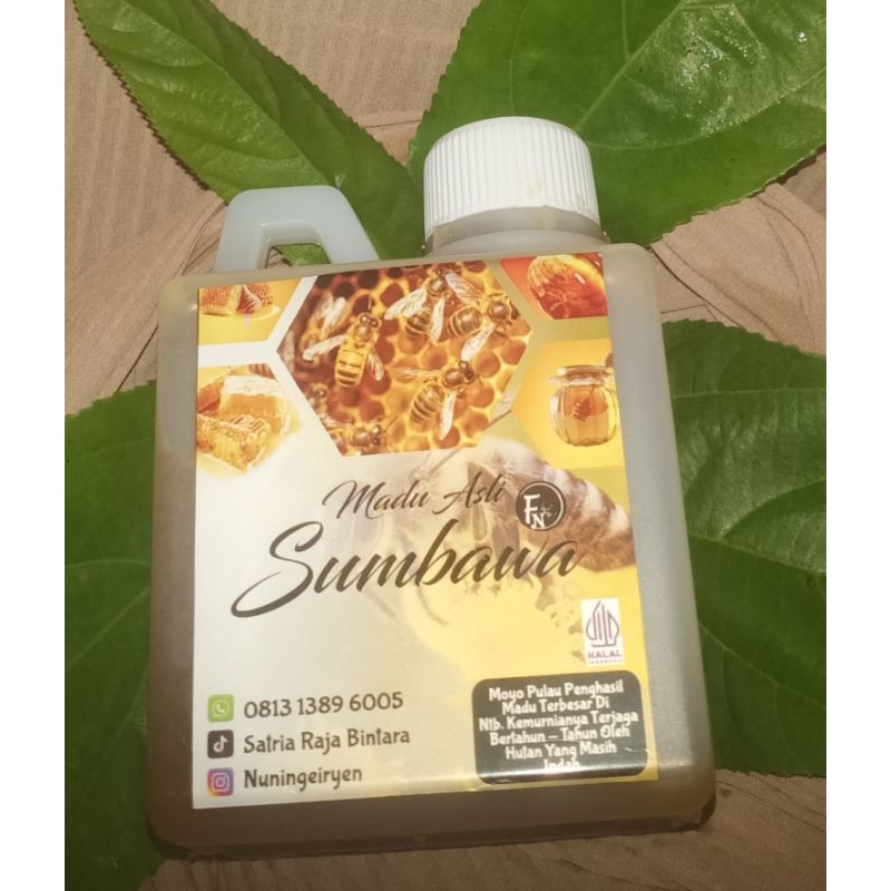 

madu hutan sumbawa NTB 500gr