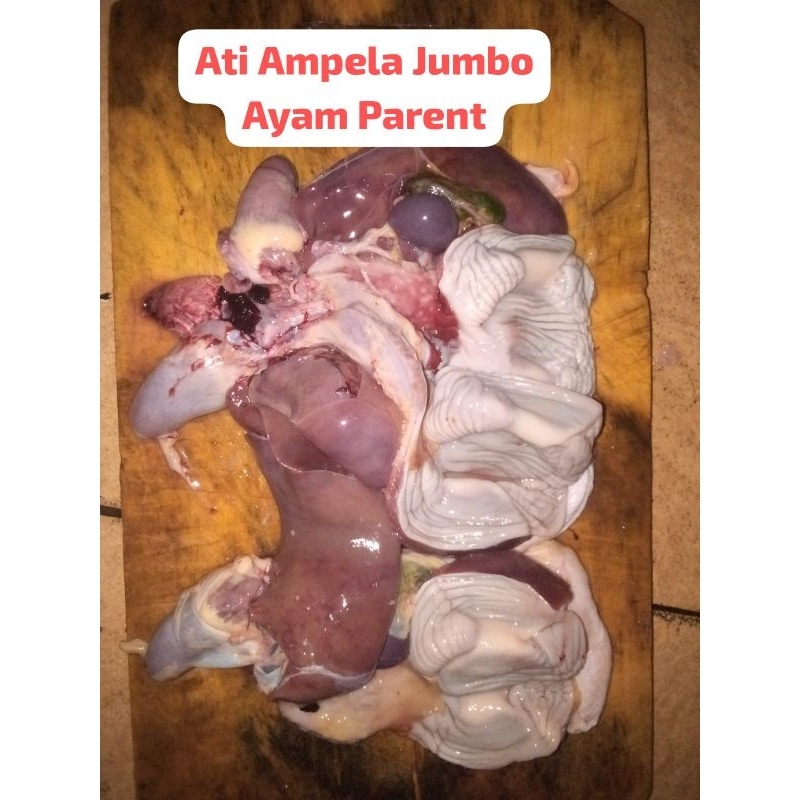 

ATI + AMPELA AYAM PARENT / ATI + AMPELA JUMBO / ATI + AMPELA FRESH / ATI + AMPELA FROZEN