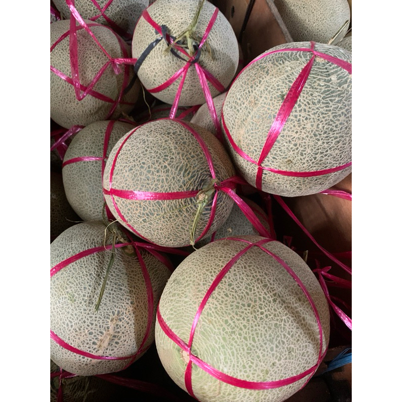 

Melon Rock
