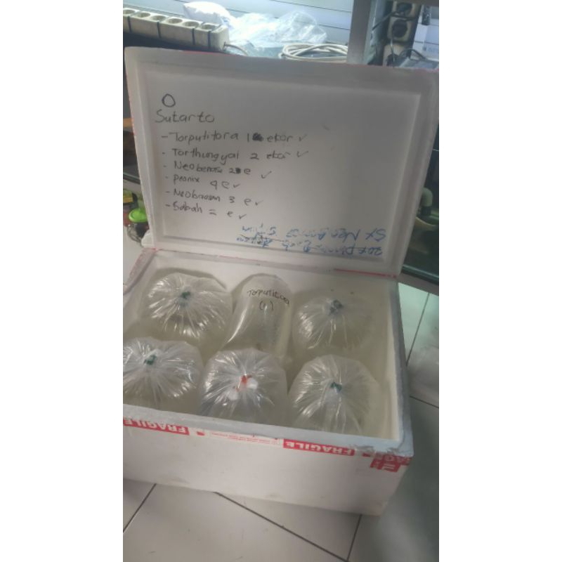 

orderan custom kirim bis / kereta (REKBER SHOPE)