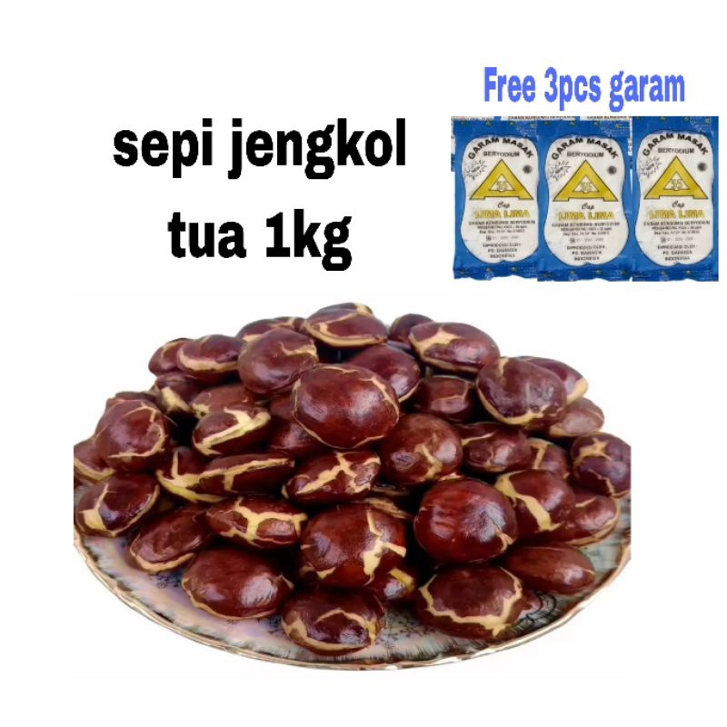

TERMURAH - JENGKOL TUA MENTAH KUALITAS SUPER /JENGKOL TUA KWALITAS TERBAIK / BUMBU-BUMBU DAPUR / JENGKOL TUA BOGOR BERAT 250 GRAM SAMPAI 1KG