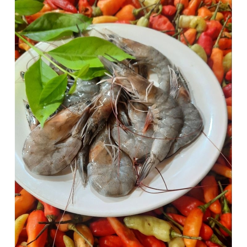 

Udang Fresh Ukuran Besar 500 Gram