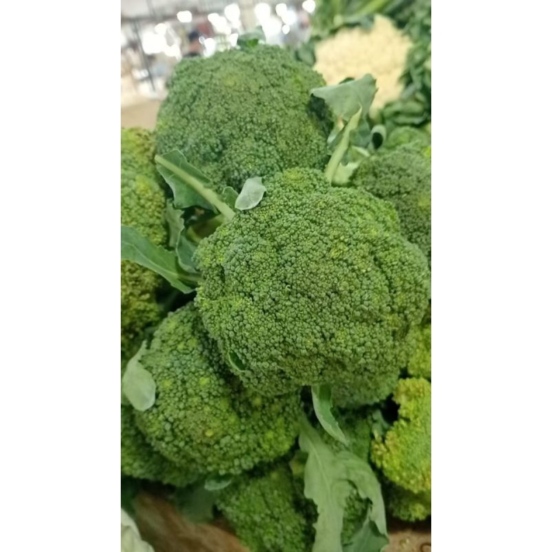 

sayur mayur brokoli seger freess 1 pcs