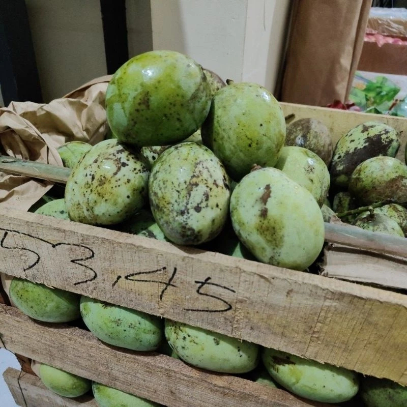 

mangga indramayu asam manis cocok banget buat rujakan