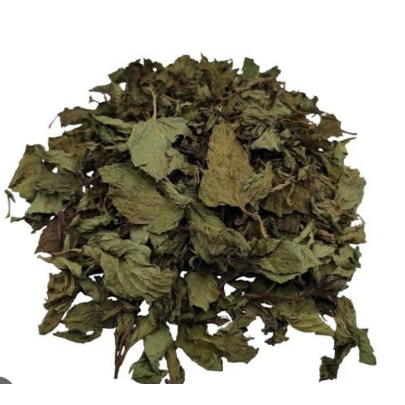 

Daun mint kering daun papermint kering organik