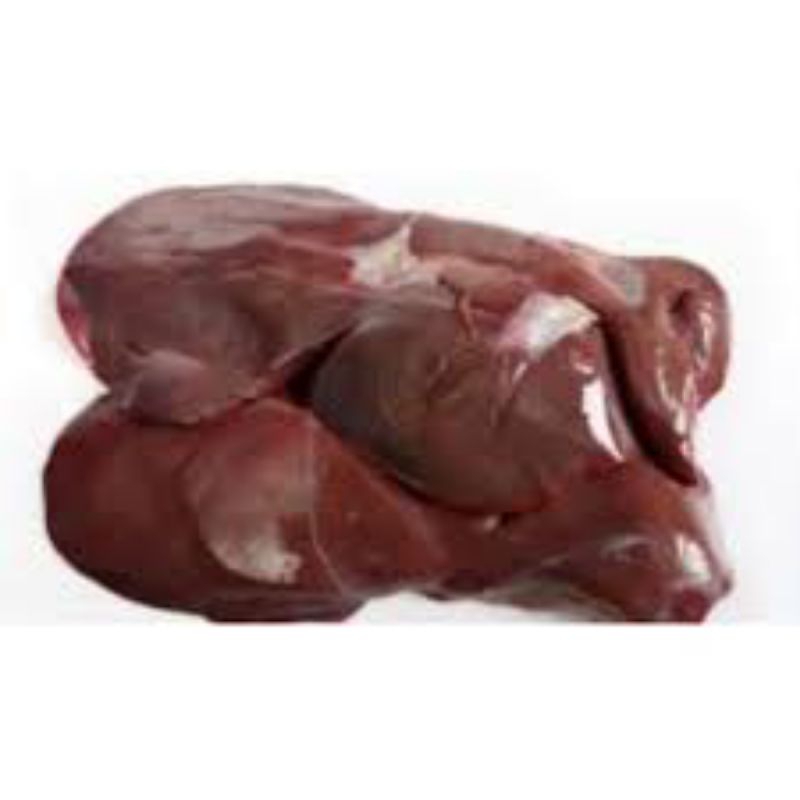 

hati kambing fresh segar