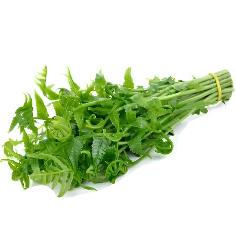 

Daun Pakis Segar 500 Gram – Sayur Segar Langsung dari Kebun