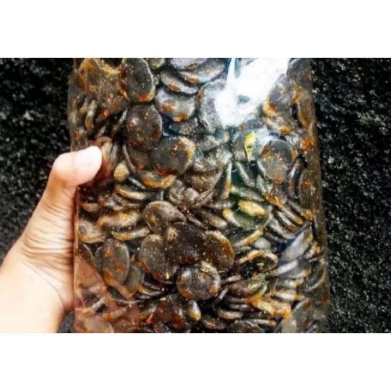 

KURUPUK JENGKOL PEDASS SUPER RENYAH