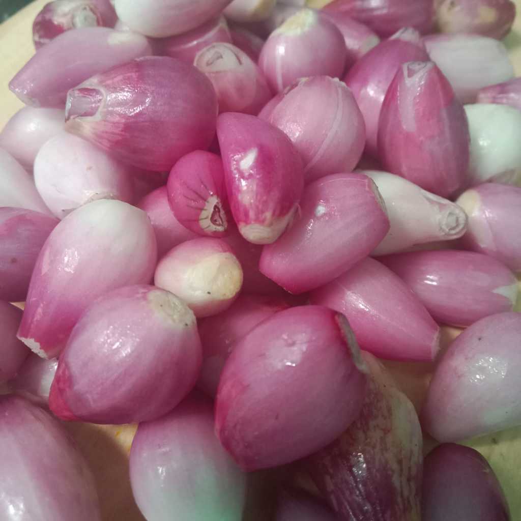 

Bawang merah kupas fresh 250gram