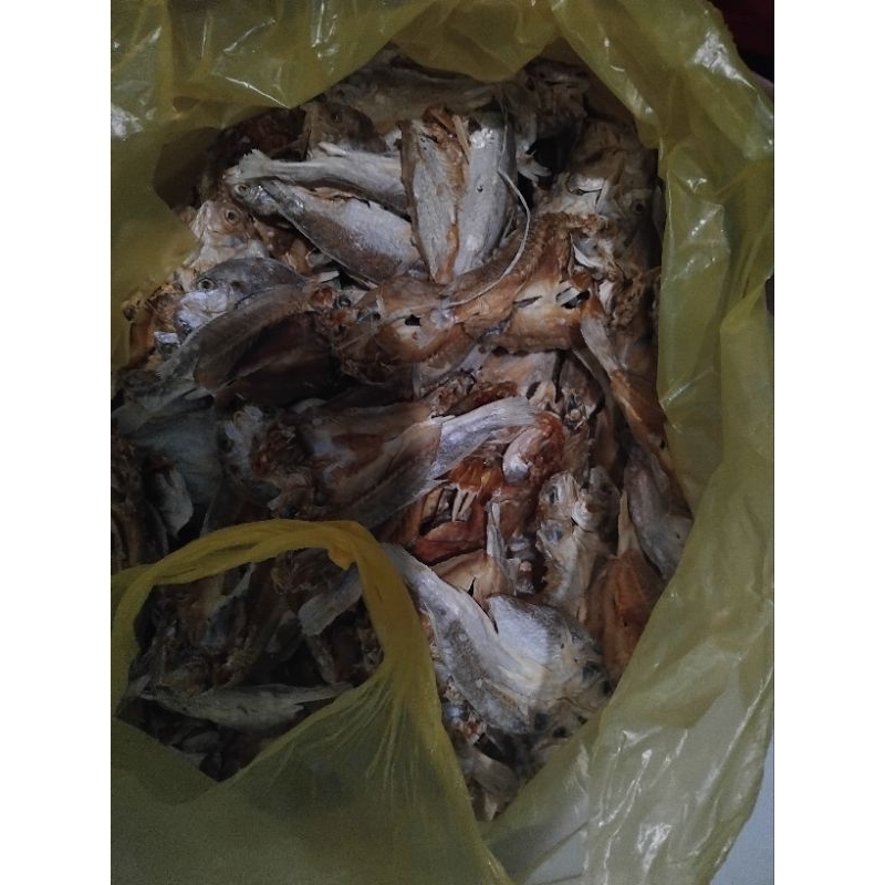 

ikan tetet kering asin/tawar