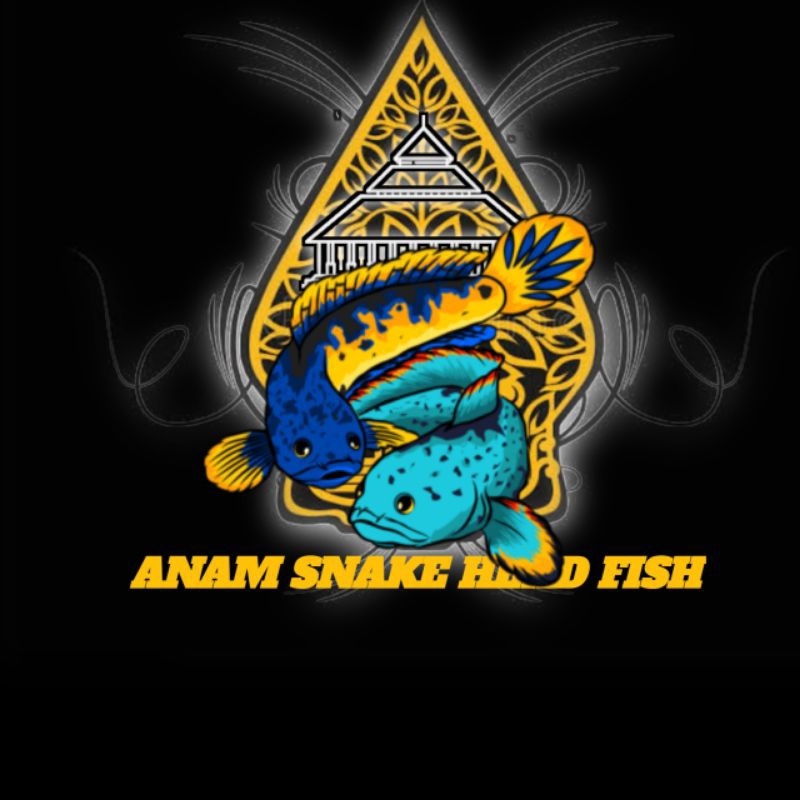 ekstra Ketapang cair  Andro by Anam Snakehead fish