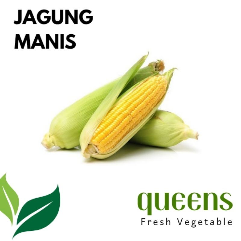 

Jagung manis
