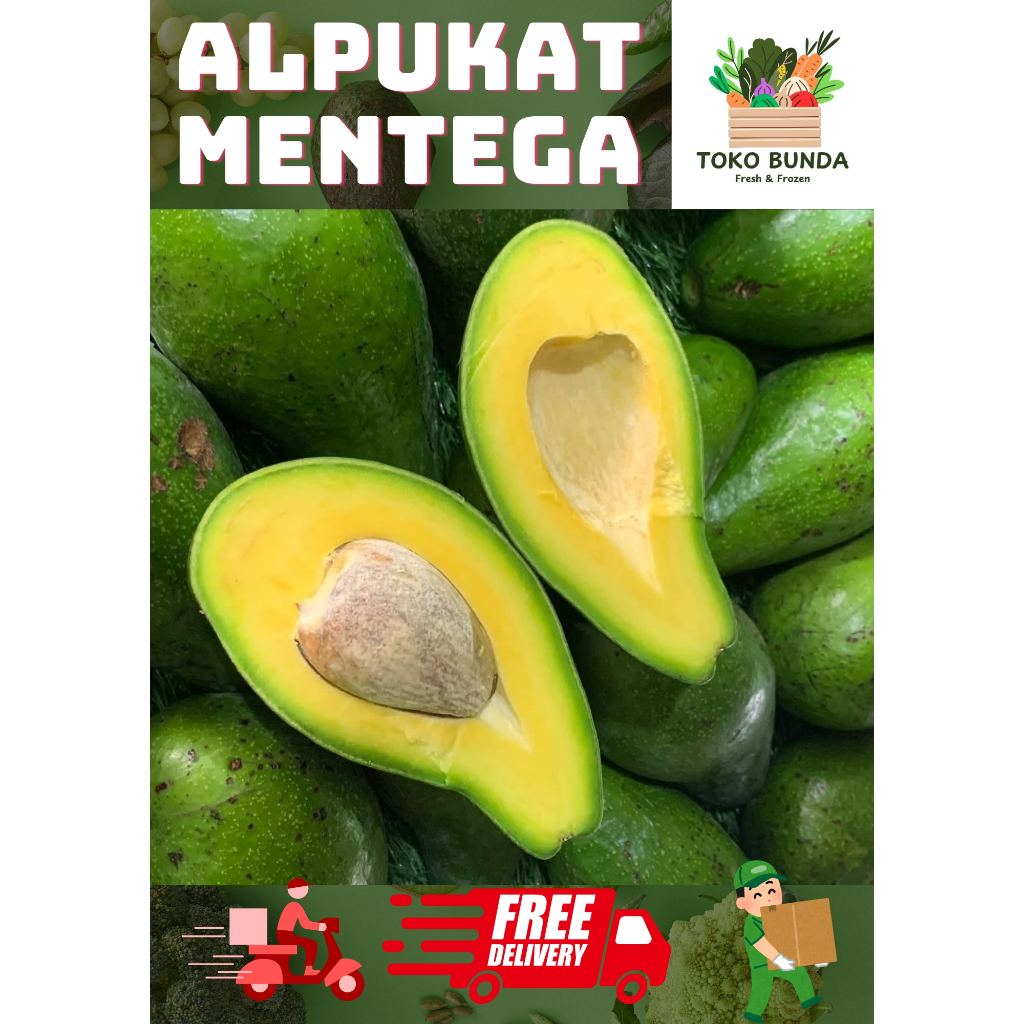 Alpukat Mentega Super Alpukat Mentega Lampung Muria Padang