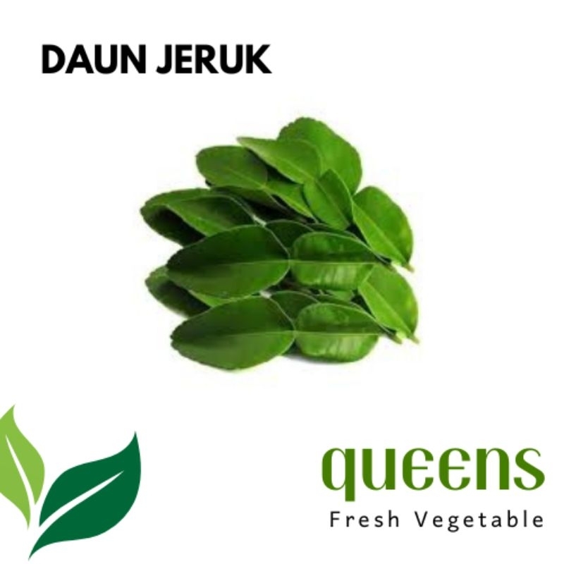 

Daun Jeruk