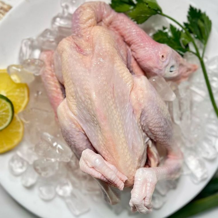 

RB Ayam Pejantan Kalasan Segar Premium Dijamin Berkualitas By FreshGoods (Berat Bersih)