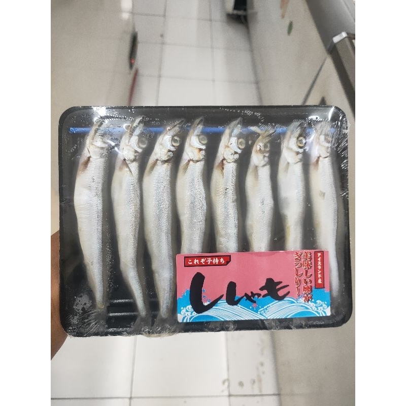 

Shisamo Fish / Ikan Cipung / Ikan Sishamo / Ikan Capelin