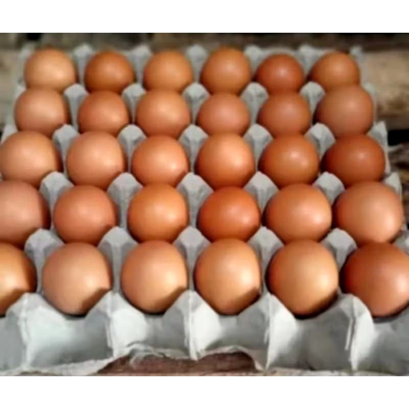 

telur ayam 1 rak (30 biji)